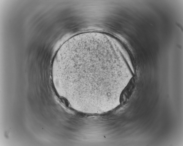 X0000098141373200805151129