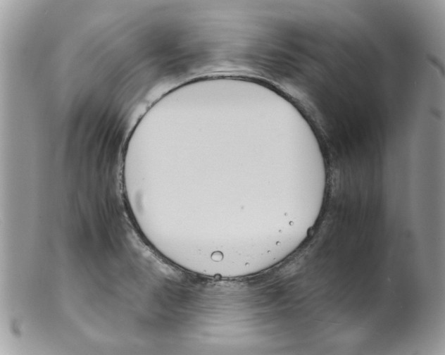 X0000098141374200805151129