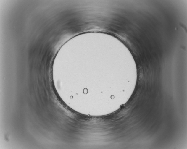 X0000098141375200805151129