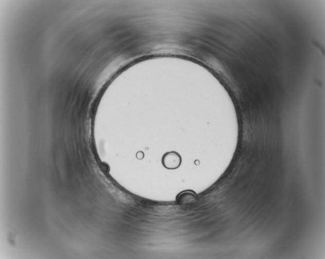 X0000098141376200805151129