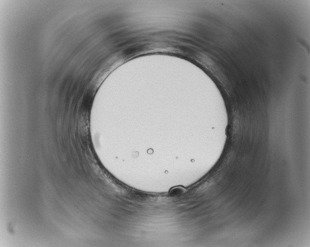 X0000098141377200805151129