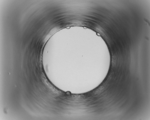 X0000098141378200805151129