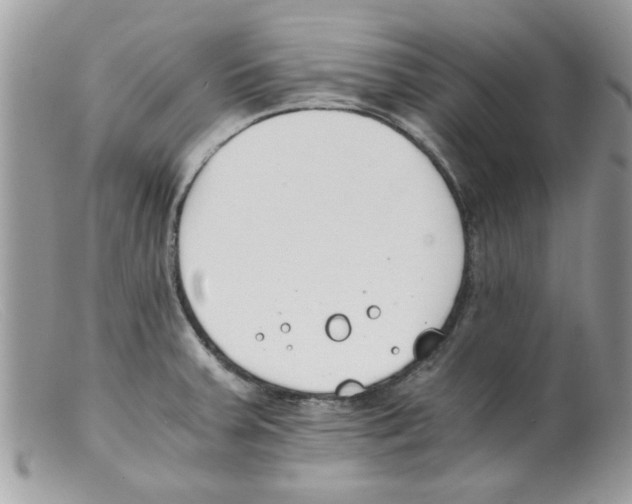 X0000098141379200805151129