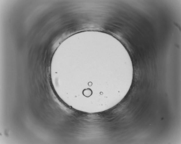 X0000098141383200805151129