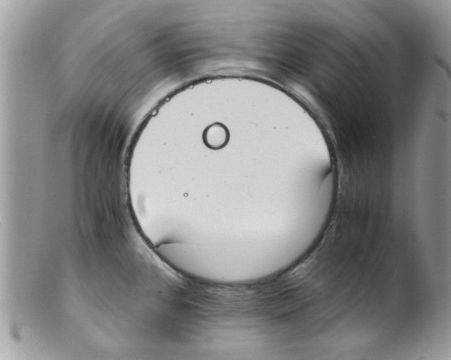 X0000098141384200805151129