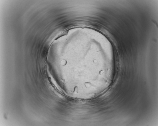 X0000098141385200805151129