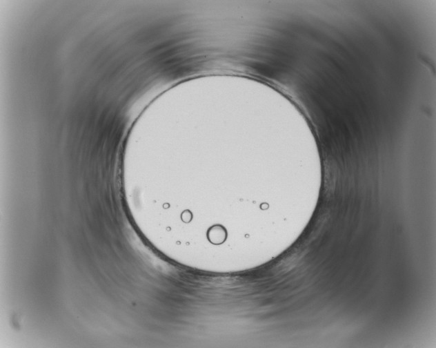 X0000098141387200805151129