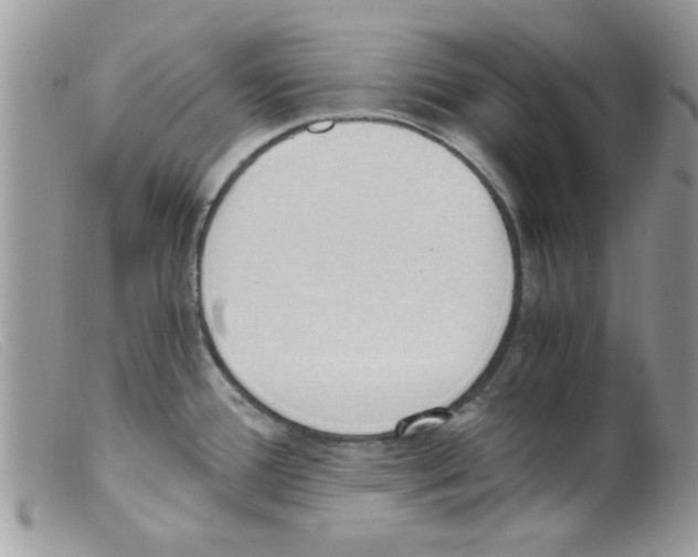 X0000098141388200805151129