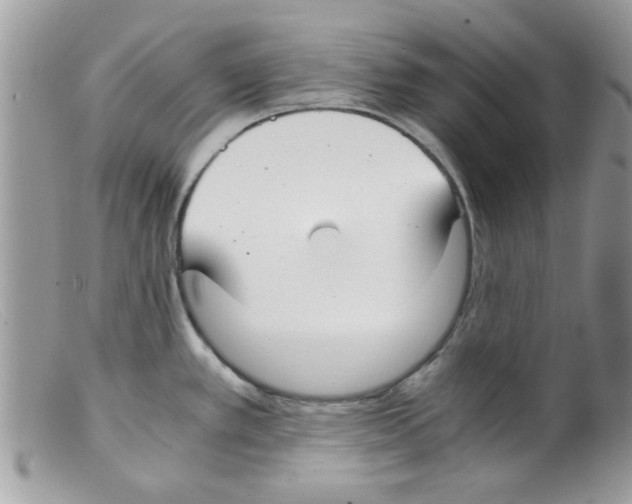 X0000098141389200805151129