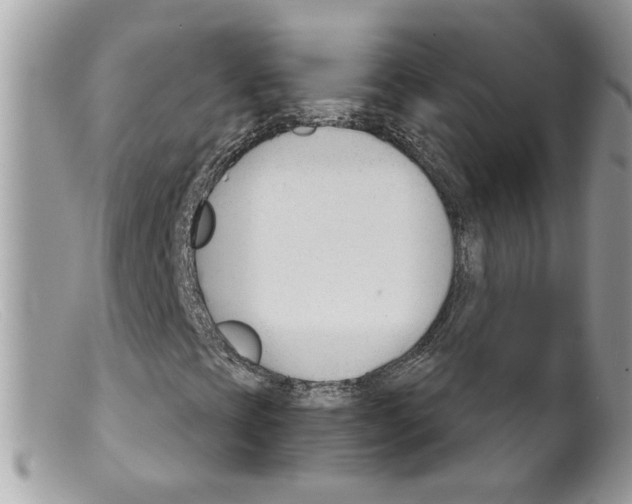 X0000098141393200805151128