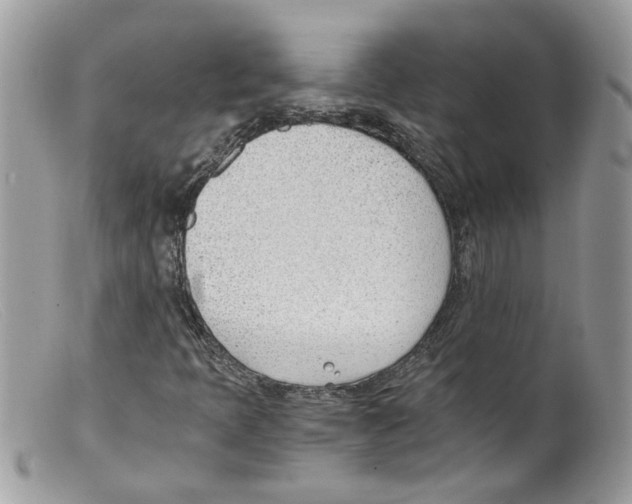 X0000098141397200805151128