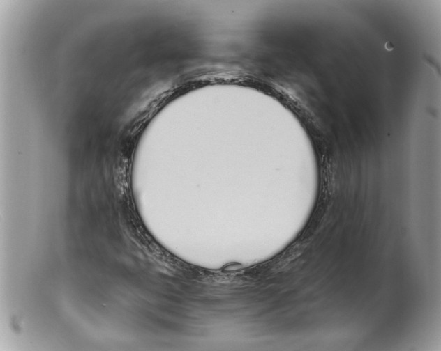 X0000098141399200805151128