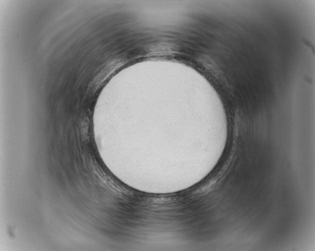 X0000098141401200805151128