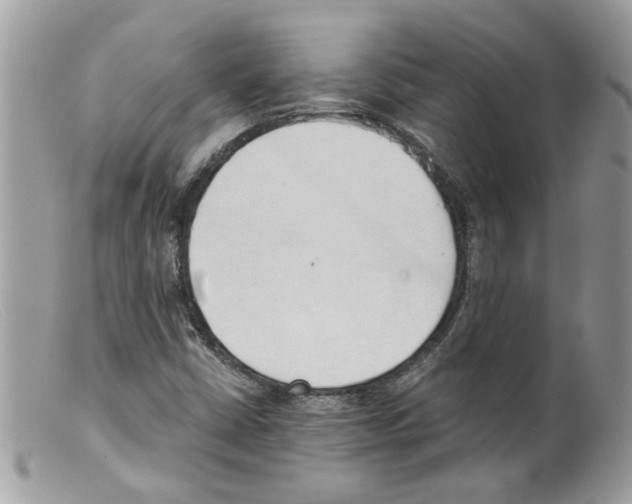 X0000098141402200805151128