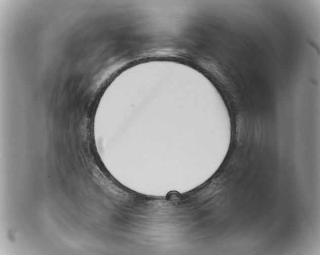 X0000098141404200805151128