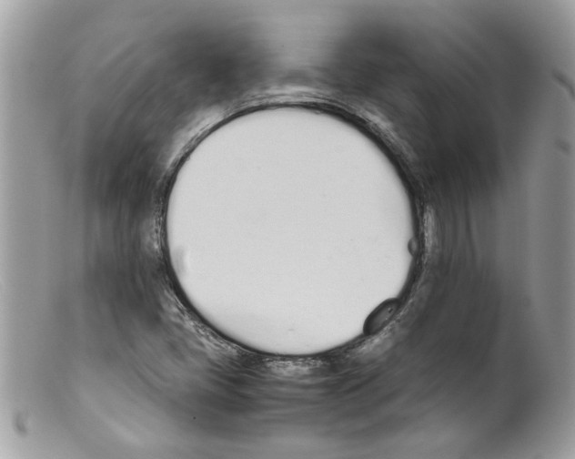 X0000098141405200805151128