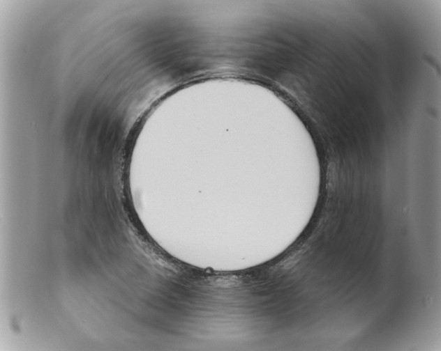 X0000098141410200805151128