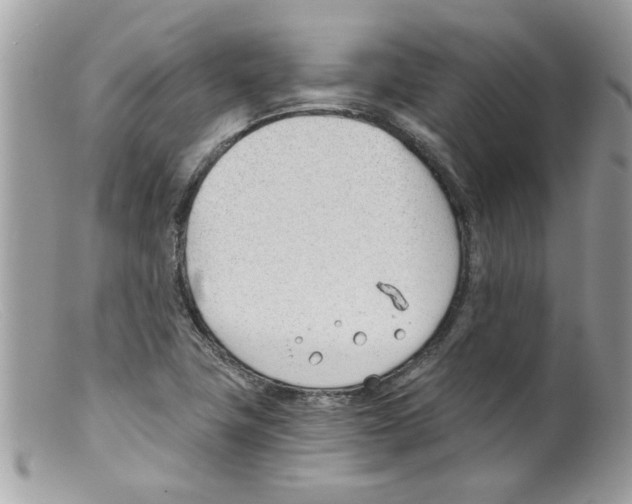 X0000098141411200805151128