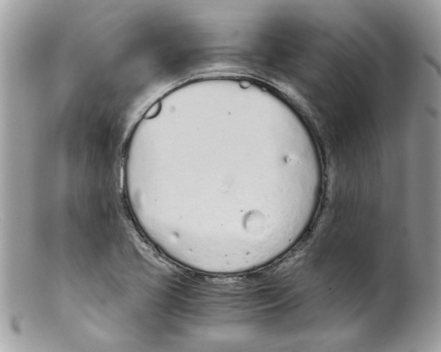 X0000098141413200805151128