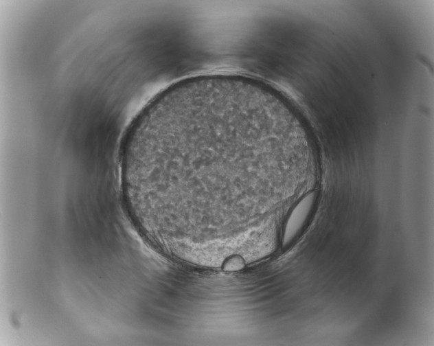 X0000098141414200805151129