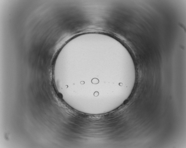 X0000098141415200805151129