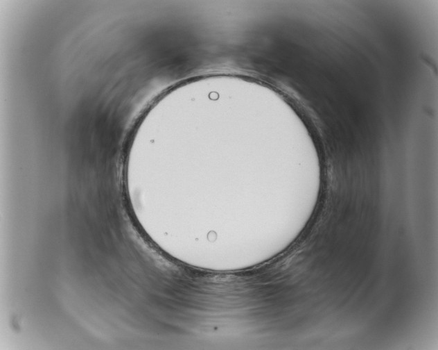 X0000098141416200805151129