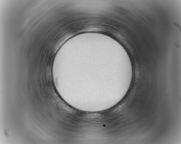 X0000098141417200805151129