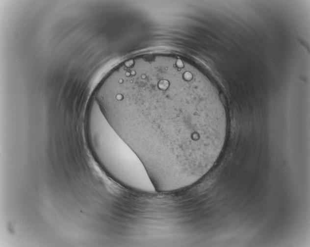 X0000098141418200805151129