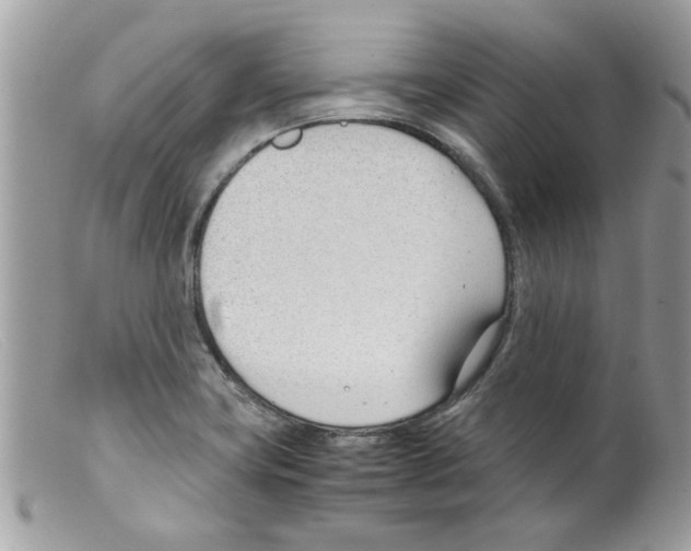 X0000098141419200805151129