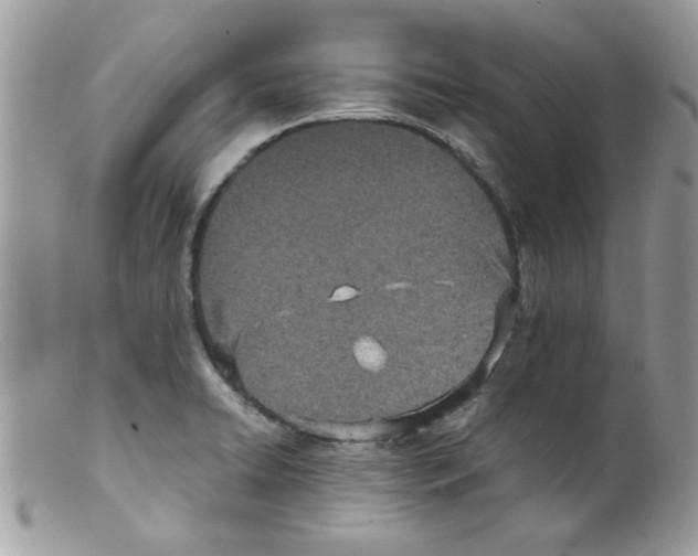 X0000098141422200805151129