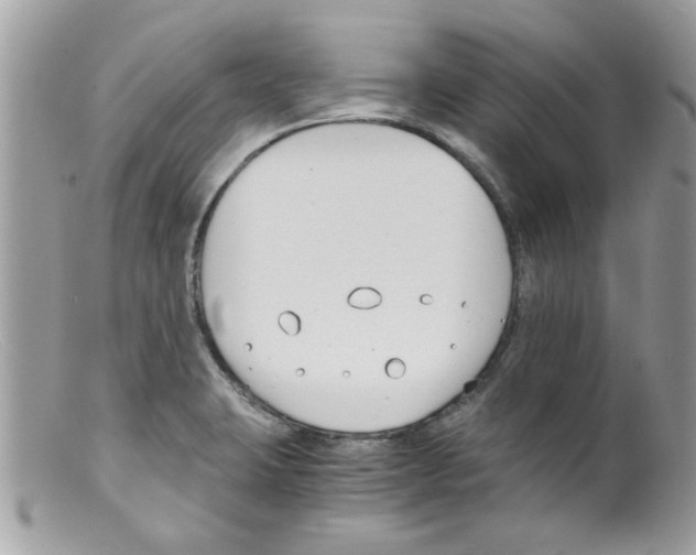 X0000098141423200805151129