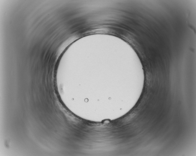 X0000098141426200805151129