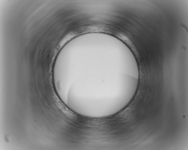 X0000098141427200805151129