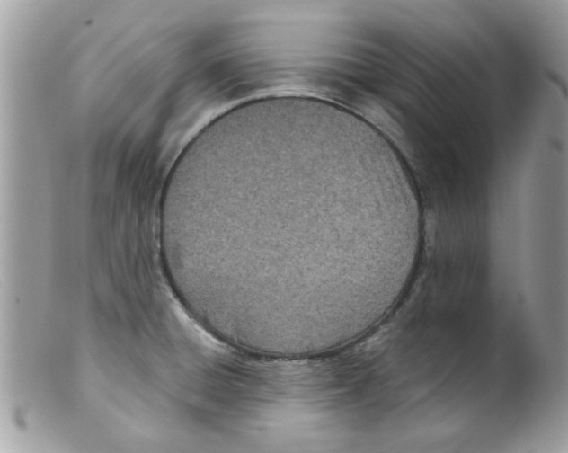 X0000098141428200805151129