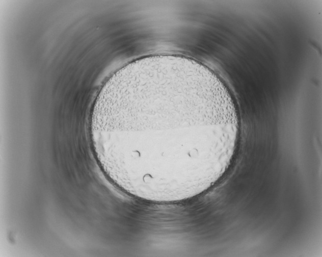 X0000098141429200805151129