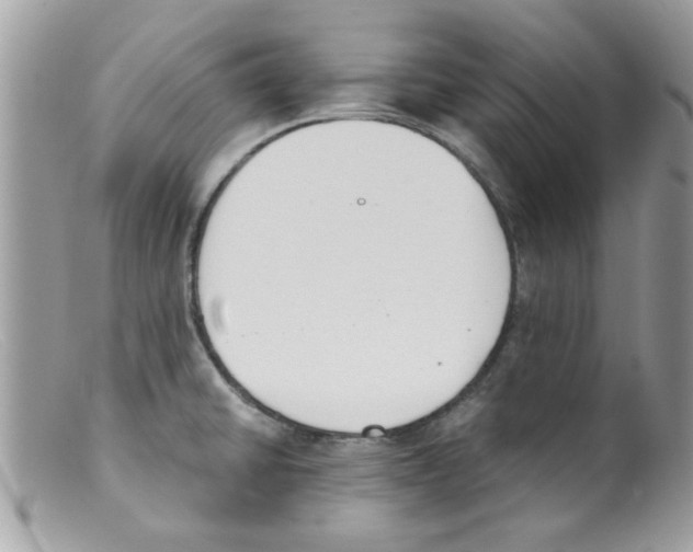 X0000098141430200805151129