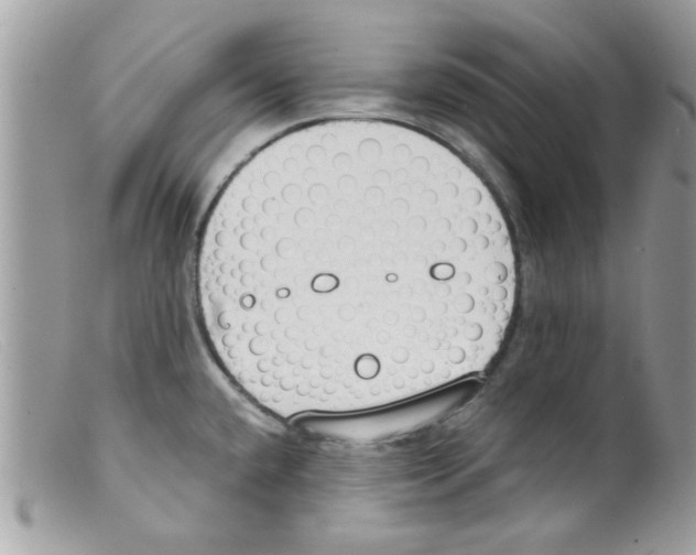 X0000098141432200805151129