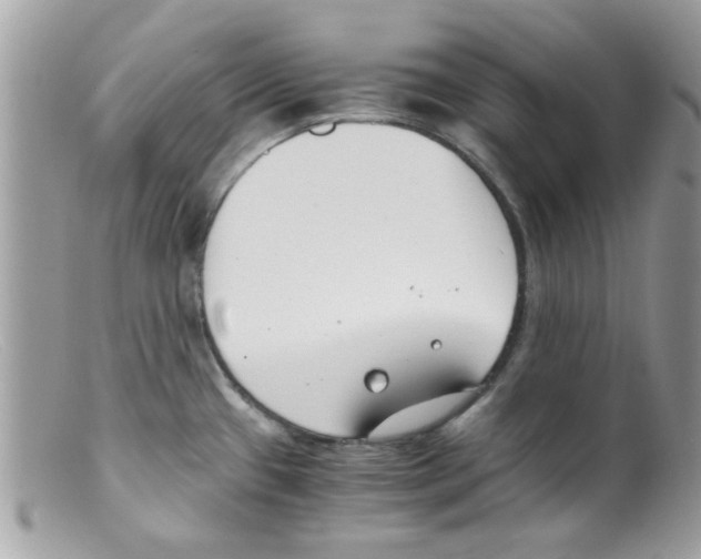 X0000098141433200805151129