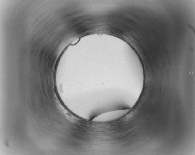 X0000098141434200805151129