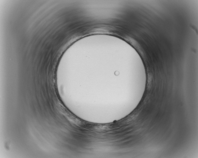 X0000098141435200805151129