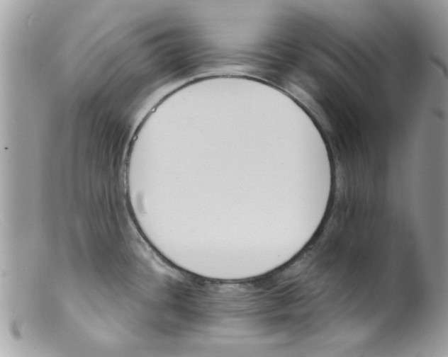 X0000098141436200805151129