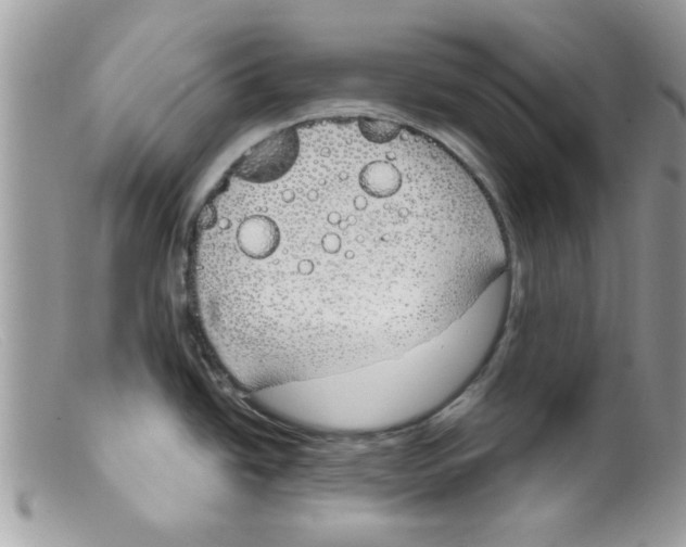 X0000098141438200805151129