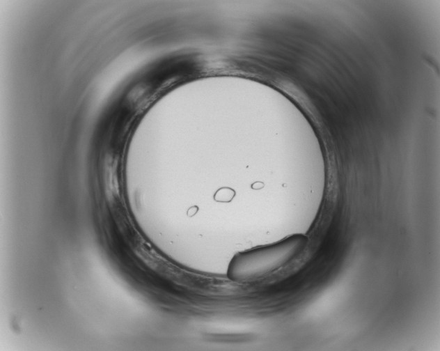 X0000098141439200805151129