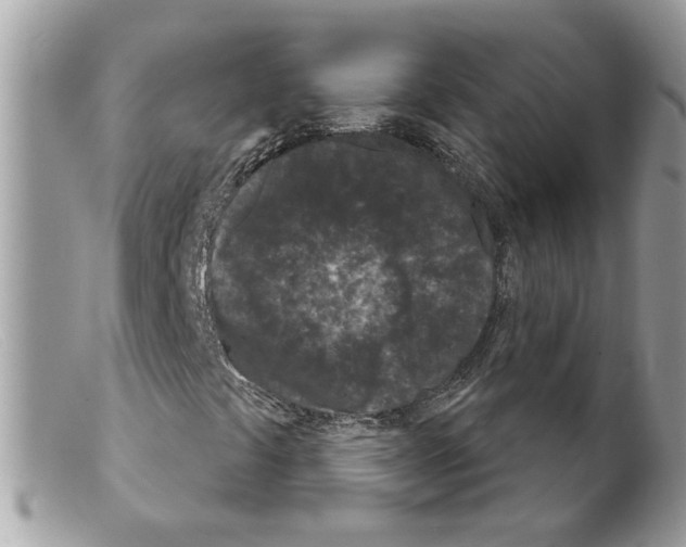 X0000098141441200805151128