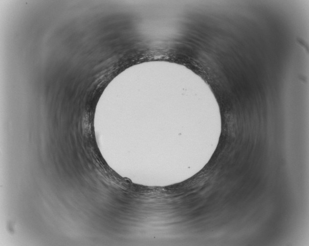 X0000098141442200805151128