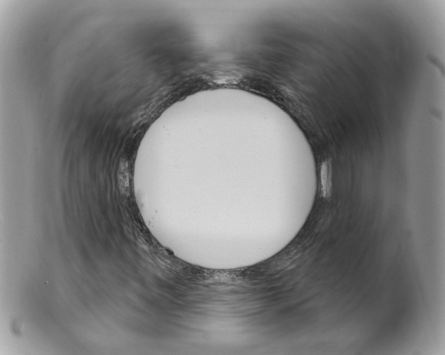 X0000098141443200805151128