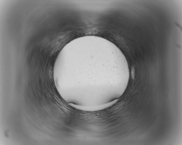 X0000098141444200805151128