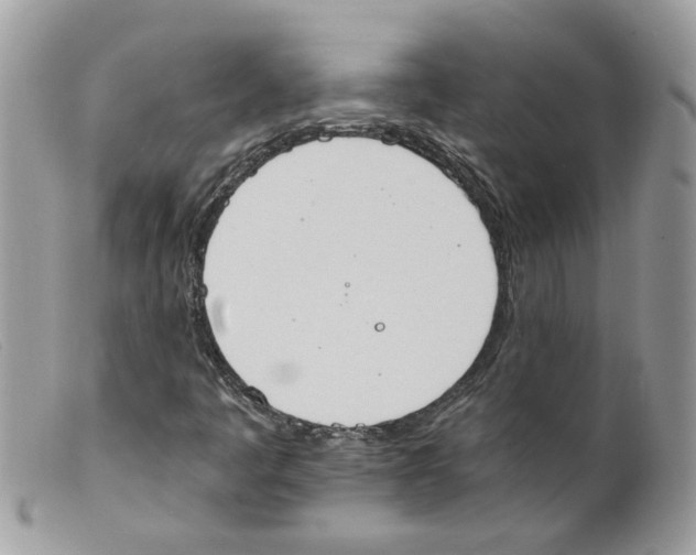 X0000098141445200805151128