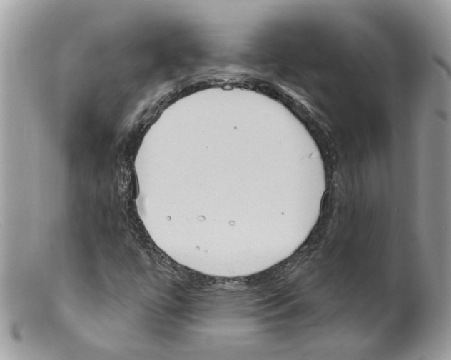 X0000098141447200805151128