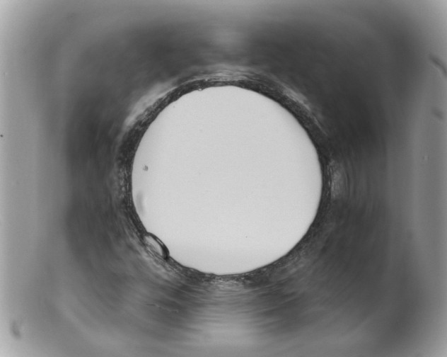 X0000098141448200805151128